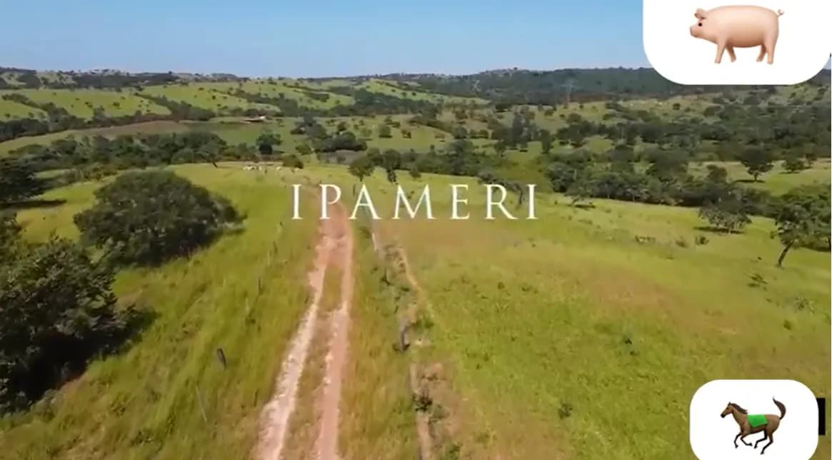 Fazenda em Ipameri-GO