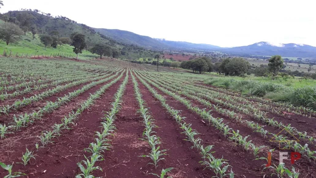 FAZENDA À VENDA – BARRO ALTO/GO